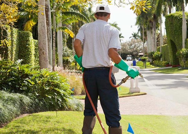 About Ellaville GA Pest Control Pros